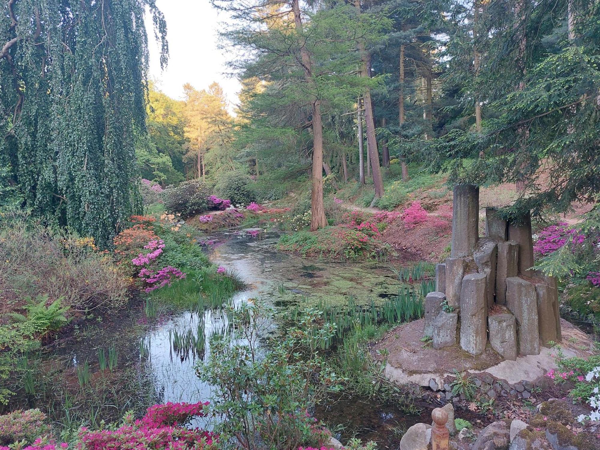 Apartment Gnubbel Am Wald فايسفاسر المظهر الخارجي الصورة